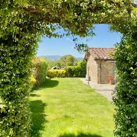 Il Cerro Arezzo